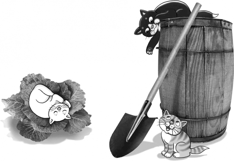 Иллюстрация к книге — Череп в клубнике и другие тайны Тополиной дачи [i_045.jpg]