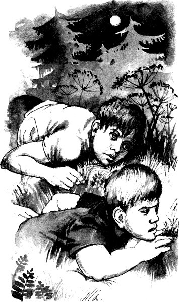 Иллюстрация к книге — Последнее дело Блина [i_006.jpg]