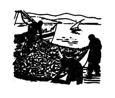 Иллюстрация к книге — Спасенная в море [doc2fb_image_03000016.jpg]