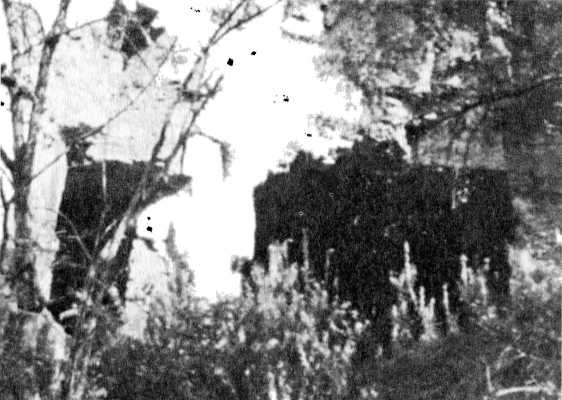 Иллюстрация к книге — Райнхард Гейдрих - паладин Гитлера [i_032.jpg]