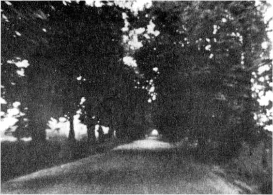 Иллюстрация к книге — Райнхард Гейдрих - паладин Гитлера [i_037.jpg]