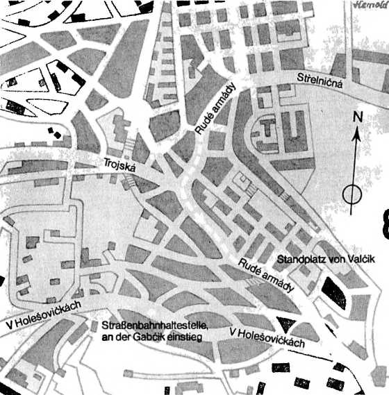 Иллюстрация к книге — Райнхард Гейдрих - паладин Гитлера [i_041.jpg]