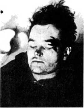 Иллюстрация к книге — Райнхард Гейдрих - паладин Гитлера [i_053.jpg]