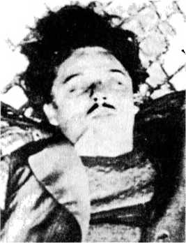 Иллюстрация к книге — Райнхард Гейдрих - паладин Гитлера [i_055.jpg]