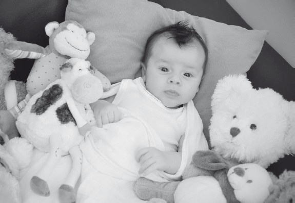 Иллюстрация к книге — Большая книга развивающих игр. От рождения до 3 лет [i_007.jpg]