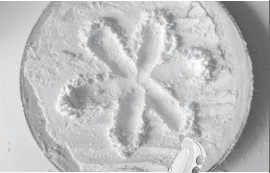 Иллюстрация к книге — Большая книга развивающих игр. От рождения до 3 лет [i_062.jpg]