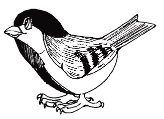 Иллюстрация к книге — Пальчиковые игры для детей от года до трех лет [i_016.jpg]