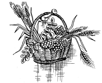 Иллюстрация к книге — Настольная книга для девочек [i_032.jpg]