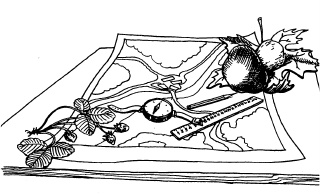 Иллюстрация к книге — Настольная книга для девочек [i_128.jpg]