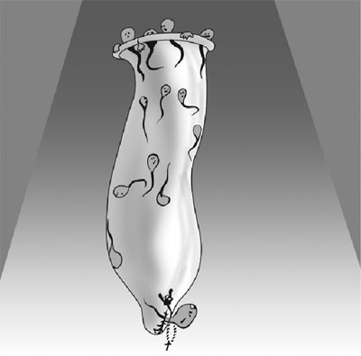 Иллюстрация к книге — Как говорить с детьми о сексе. Книга для родителей о том, что волнует подростка [i_042.jpg]