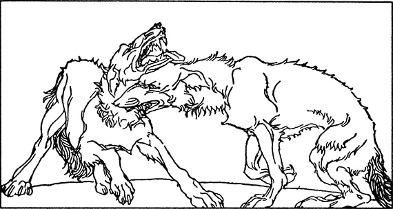 Иллюстрация к книге — Дети Одина [i_032.jpg]