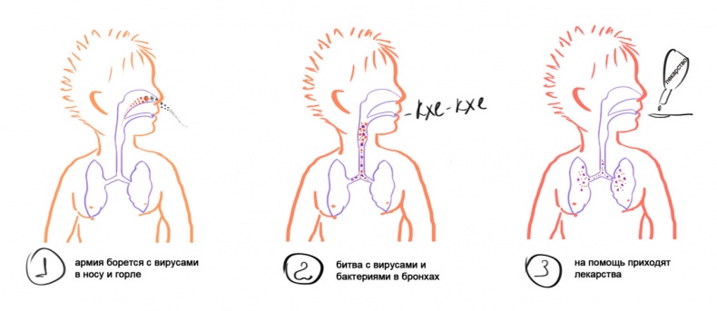 Иллюстрация к книге — Как я устроен [i_001.jpg]