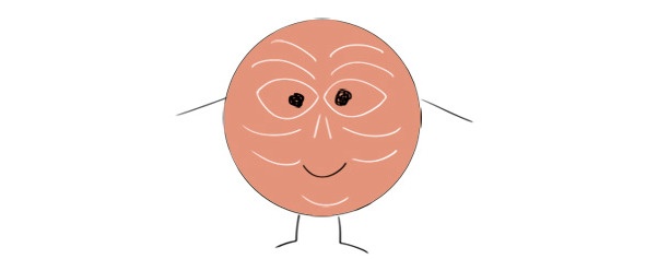 Иллюстрация к книге — Как я устроен [i_021.jpg]