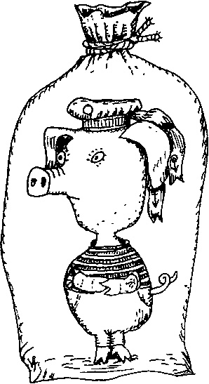 Иллюстрация к книге — Приключения Алисы в Стране Головоломок [img_4.jpg]