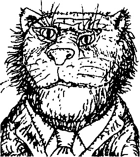 Иллюстрация к книге — Приключения Алисы в Стране Головоломок [img_41.jpg]