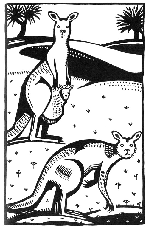 Иллюстрация к книге — Где живет единорог, или Зоологические истории [i_011.jpg]