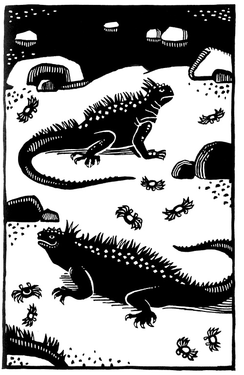 Иллюстрация к книге — Где живет единорог, или Зоологические истории [i_013.jpg]