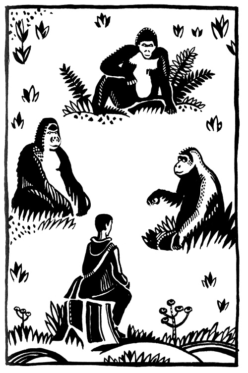 Иллюстрация к книге — Где живет единорог, или Зоологические истории [i_014.jpg]