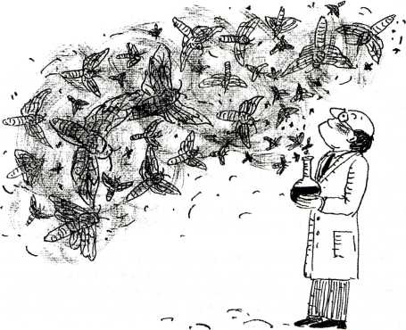 Иллюстрация к книге — Тайны запаха и вкуса [i_012.jpg]