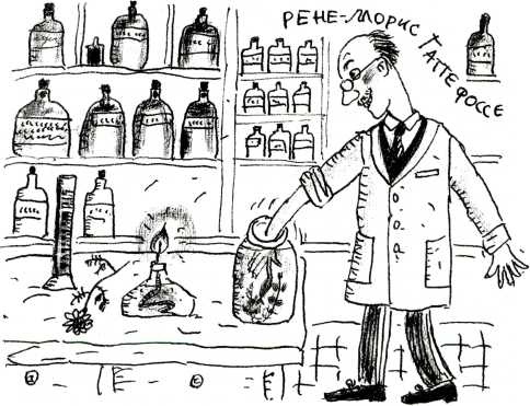 Иллюстрация к книге — Тайны запаха и вкуса [i_033.jpg]