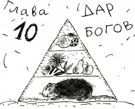 Иллюстрация к книге — Тайны запаха и вкуса [i_043.jpg]