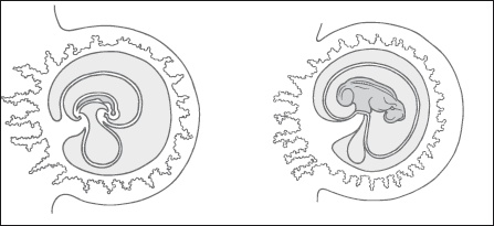 Иллюстрация к книге — Самая важная российская книга мамы. Беременность. Роды. Первые годы [i_042.jpg]