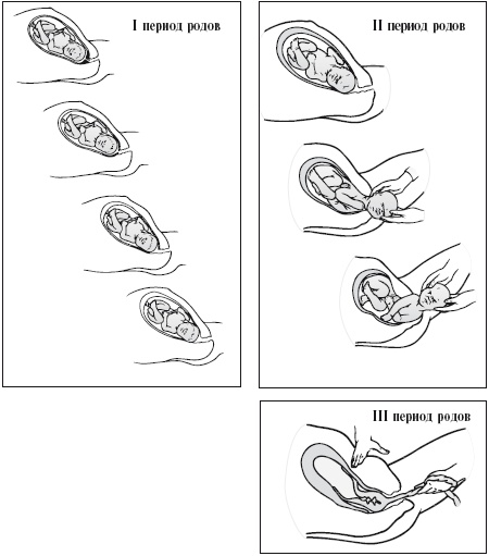 Иллюстрация к книге — Самая важная российская книга мамы. Беременность. Роды. Первые годы [i_090.jpg]