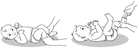 Иллюстрация к книге — Самая важная российская книга мамы. Беременность. Роды. Первые годы [i_135.jpg]