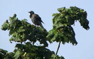 Иллюстрация к книге — Мост через пропасть. Создание тематических фотокнижек: творческий союз особого ребёнка и его окружения [_072_1.jpg]