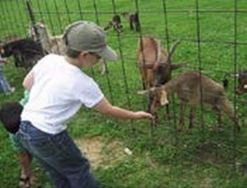 Иллюстрация к книге — Мост через пропасть. Создание тематических фотокнижек: творческий союз особого ребёнка и его окружения [_157_1.jpg]