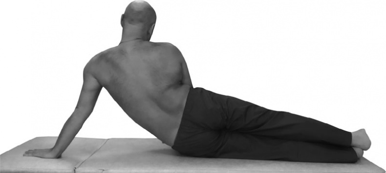 Иллюстрация к книге — Благодарный позвоночник. Как навсегда избавить его от боли. Домашняя кинезиология [_43.jpg]