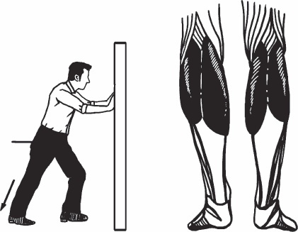 Иллюстрация к книге — Благодарный позвоночник. Как навсегда избавить его от боли. Домашняя кинезиология [_57.jpg]