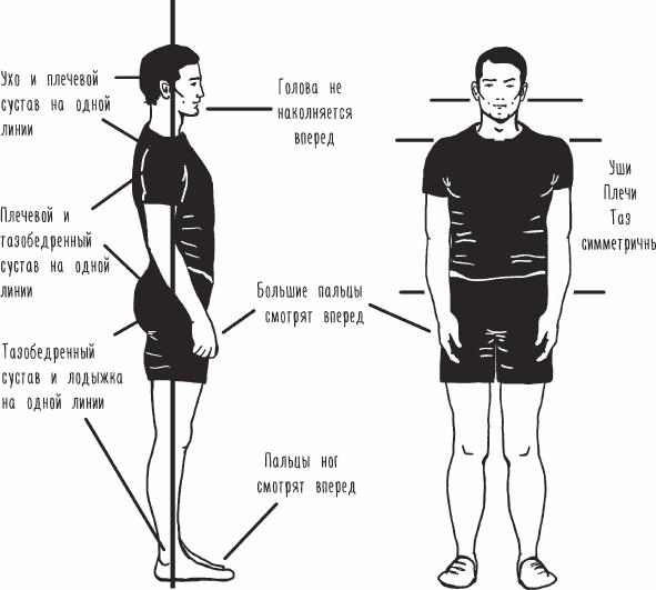 Иллюстрация к книге — Благодарный позвоночник. Как навсегда избавить его от боли. Домашняя кинезиология [_69.jpg]