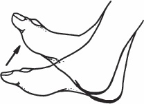 Иллюстрация к книге — Благодарный позвоночник. Как навсегда избавить его от боли. Домашняя кинезиология [_74.jpg]