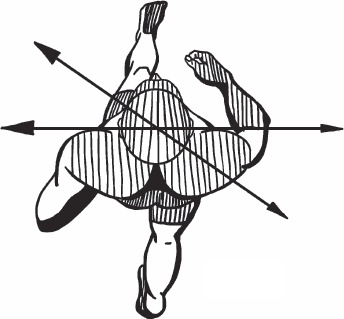 Иллюстрация к книге — Благодарный позвоночник. Как навсегда избавить его от боли. Домашняя кинезиология [_76.jpg]