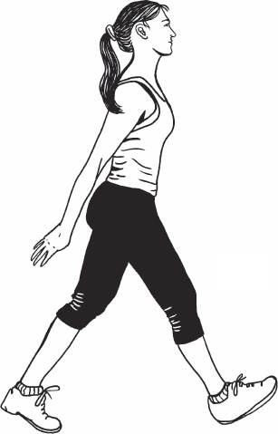 Иллюстрация к книге — Благодарный позвоночник. Как навсегда избавить его от боли. Домашняя кинезиология [_77.jpg]