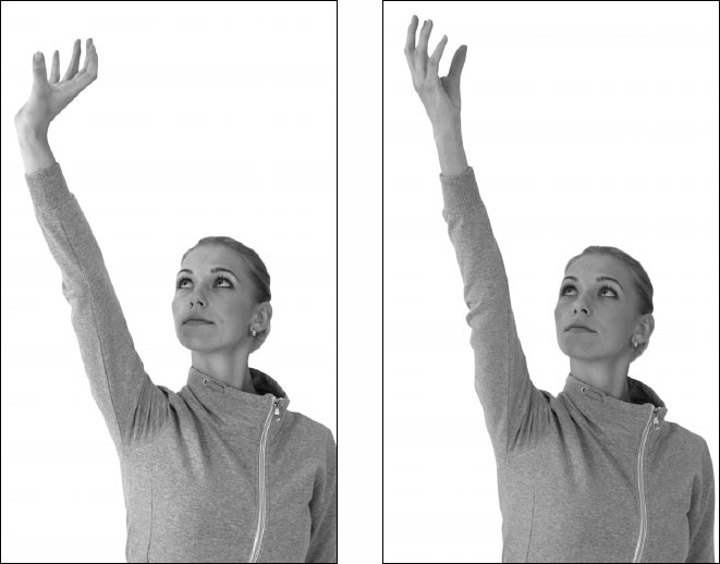 Иллюстрация к книге — Остеохондроз и боль в спине. Йога бытовых движений [_31.jpg]