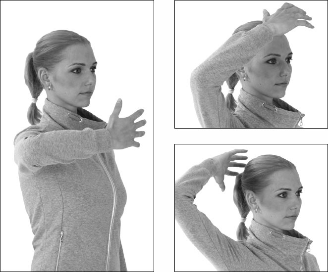 Иллюстрация к книге — Остеохондроз и боль в спине. Йога бытовых движений [_32.jpg]