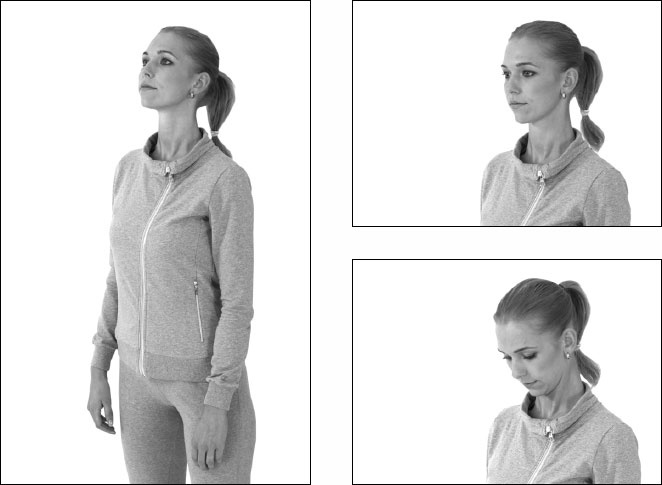 Иллюстрация к книге — Остеохондроз и боль в спине. Йога бытовых движений [_34.jpg]