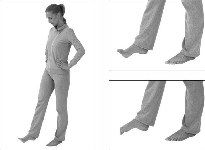 Иллюстрация к книге — Остеохондроз и боль в спине. Йога бытовых движений [_47.jpg]