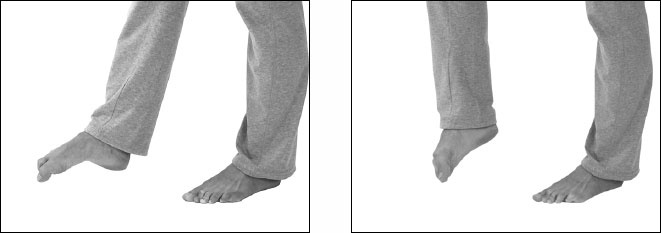 Иллюстрация к книге — Остеохондроз и боль в спине. Йога бытовых движений [_48.jpg]