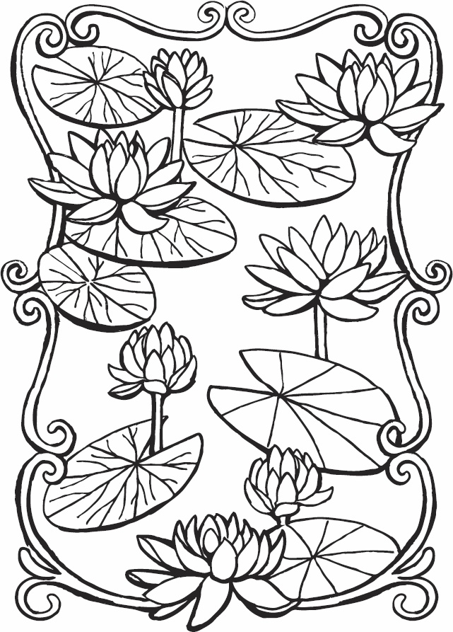 Иллюстрация к книге — Эльфика. Копилка позитива. Вдохновляюсь, творю, живу! 100 советов и упражнений в подарок [_103.jpg]