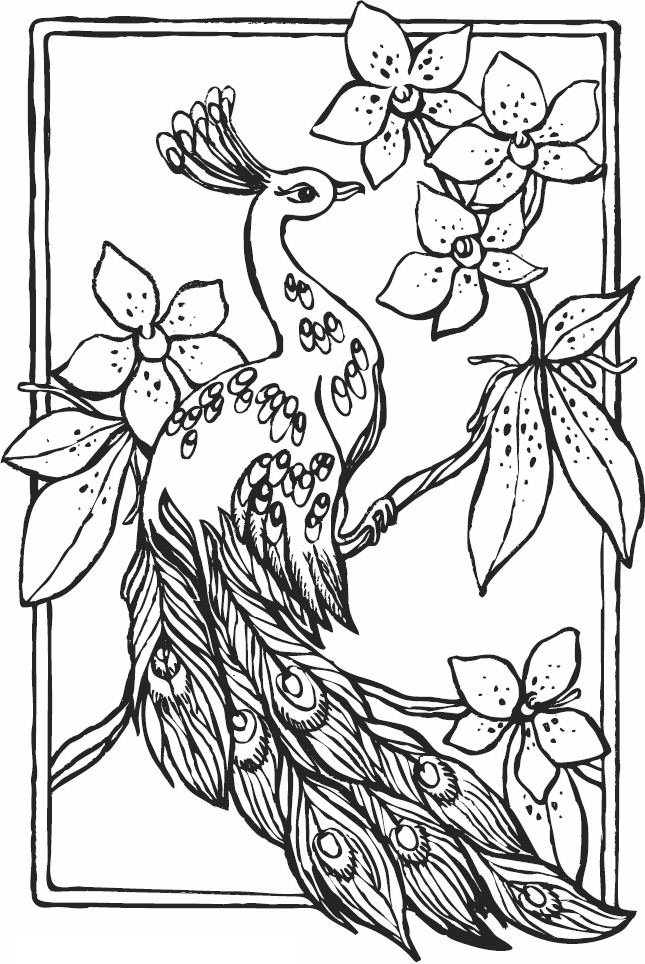 Иллюстрация к книге — Эльфика. Копилка позитива. Вдохновляюсь, творю, живу! 100 советов и упражнений в подарок [_21.jpg]