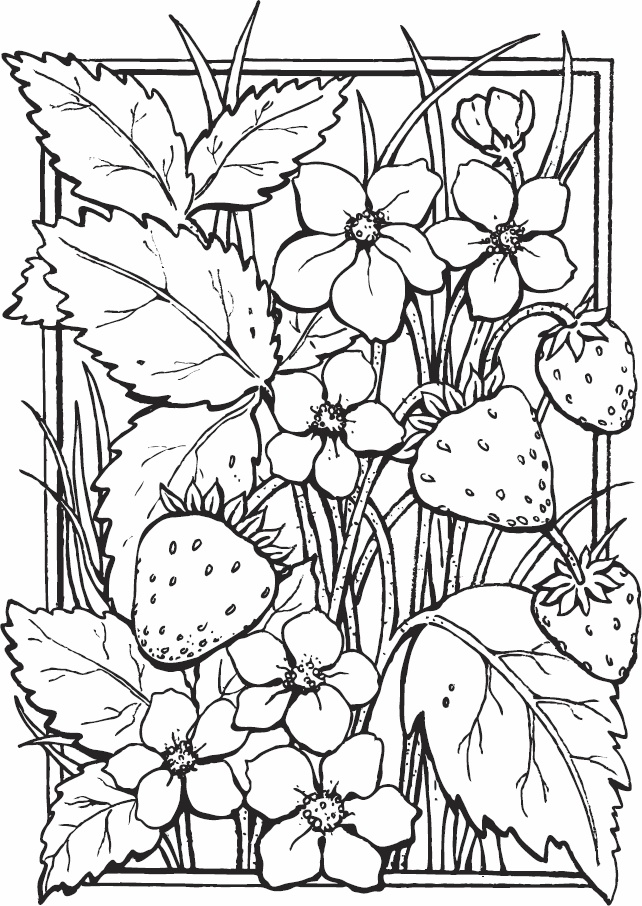 Иллюстрация к книге — Эльфика. Копилка позитива. Вдохновляюсь, творю, живу! 100 советов и упражнений в подарок [_89.jpg]