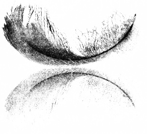 Иллюстрация к книге — Небеса [i_001.jpg]