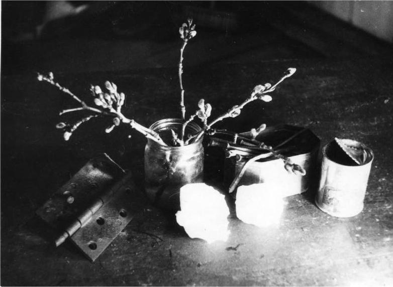 Иллюстрация к книге — Ладья темных странствий. Избранная проза [i_027.jpg]