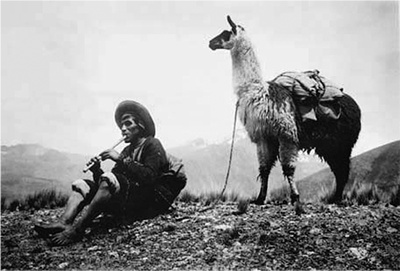 Иллюстрация к книге — Начало бесконечности. Объяснения, которые меняют мир [i_050.jpg]