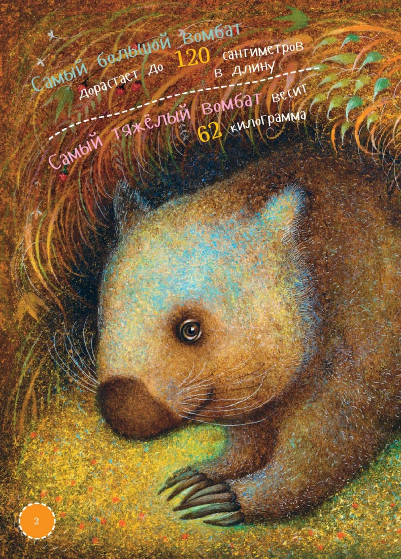 Иллюстрация к книге — Я вомбат [_10510884_1.jpg]