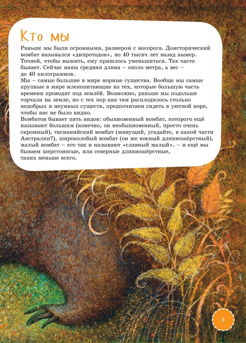 Иллюстрация к книге — Я вомбат [_10510884_2.jpg]