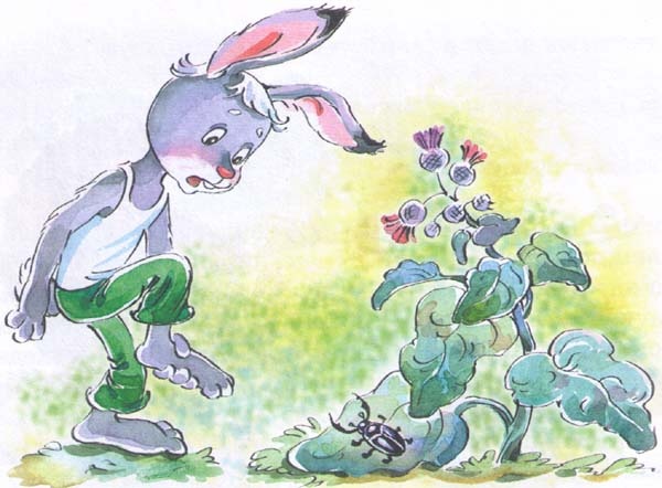 Иллюстрация к книге — Заяц Коська и его друзья [i_016.jpg]